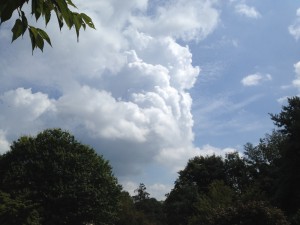 Cumulonimbus clouds build early yesterday afternoon.