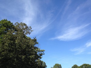 Cirrus clouds heralding moisture returning 