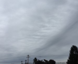 Altocumulus undulates clouds today herald rain